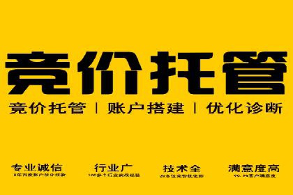 百度竞价广告的投放成本与ROI分析案例